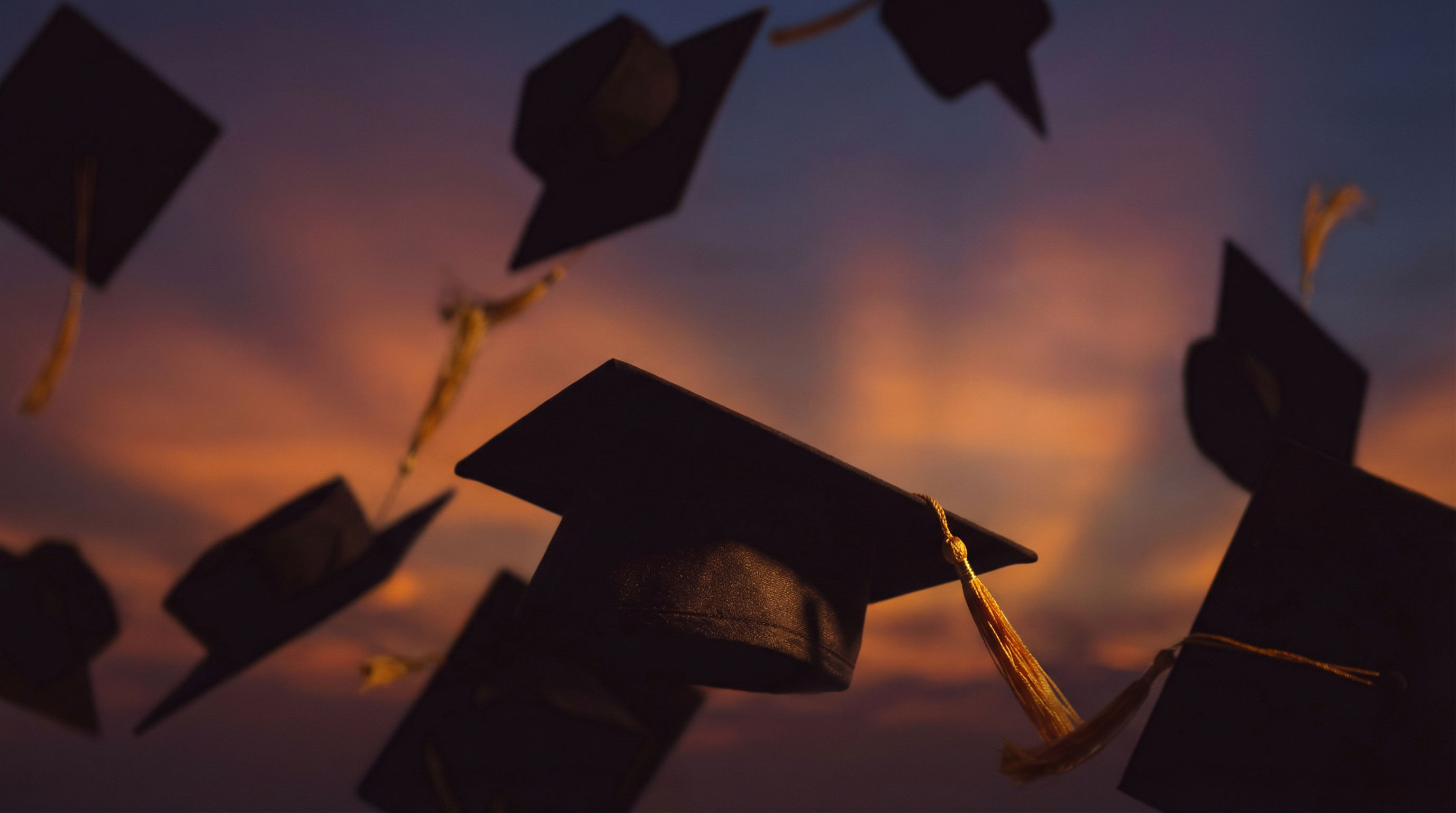 University Atmosphere